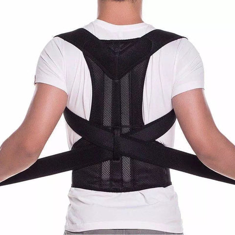 Back support belt
