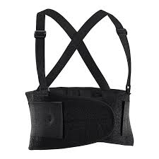 Back support belt